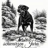 Rottweiler vom schwarzen Jura